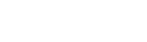 FEMO